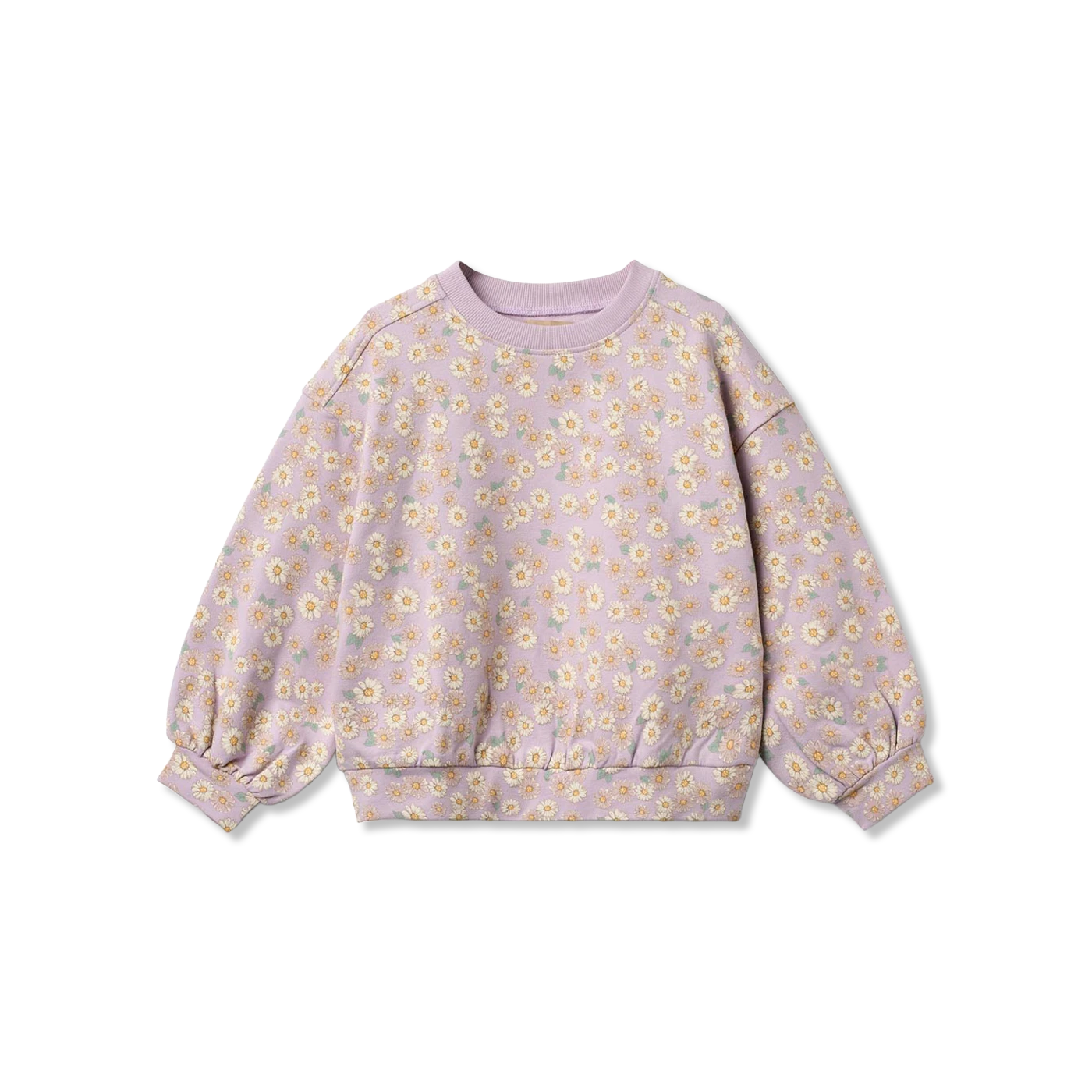 Lia sweatshirts