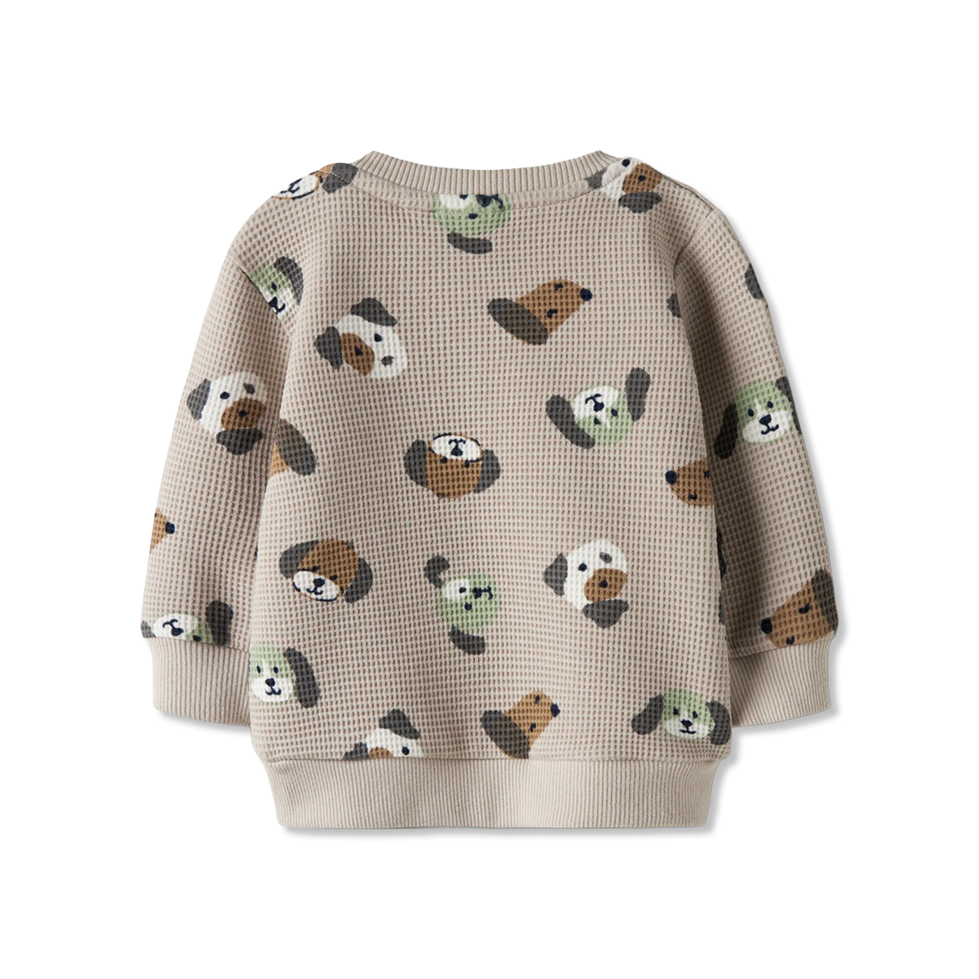 Nbmtimm sweatshirts