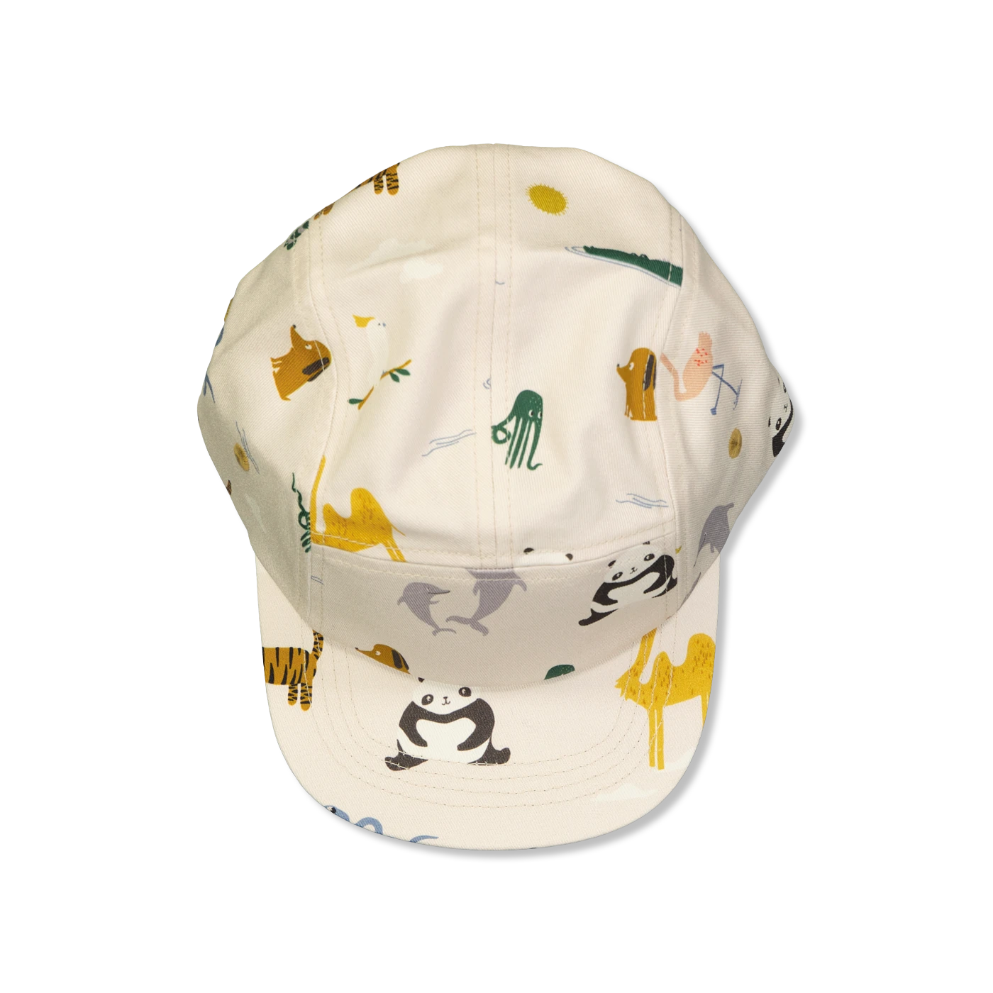 Rory Cap
