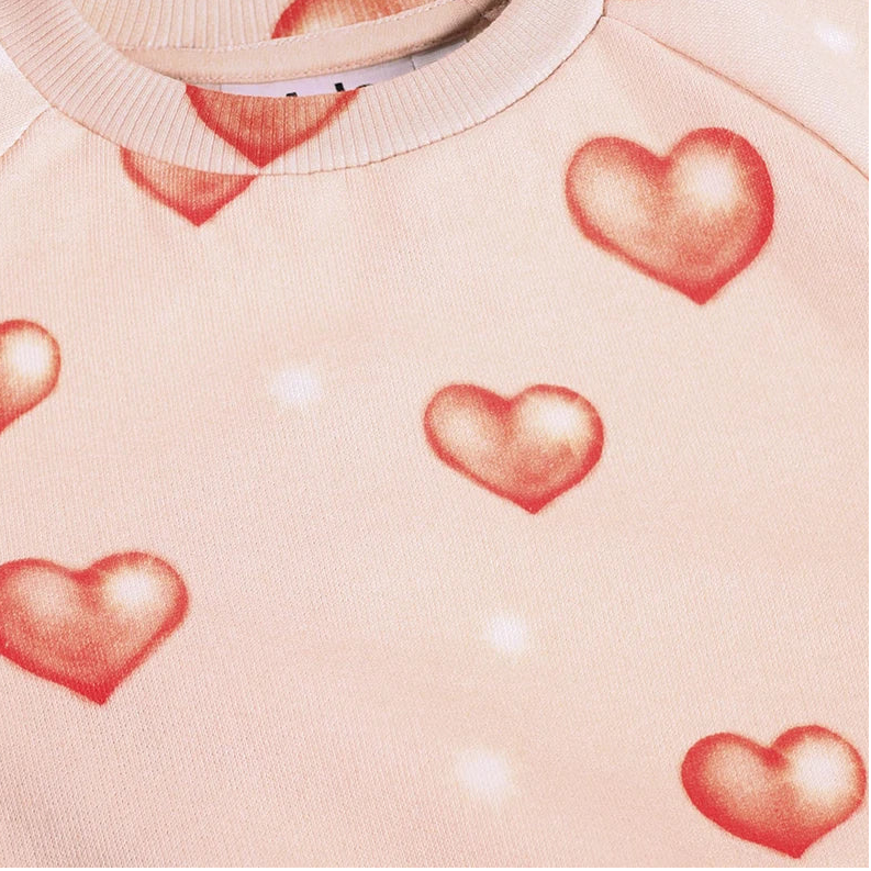 Disc Sweatshirt