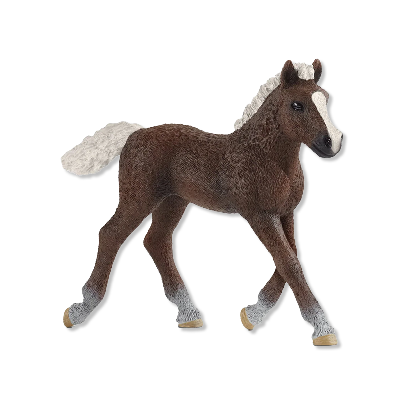 Black forest foal Dyr