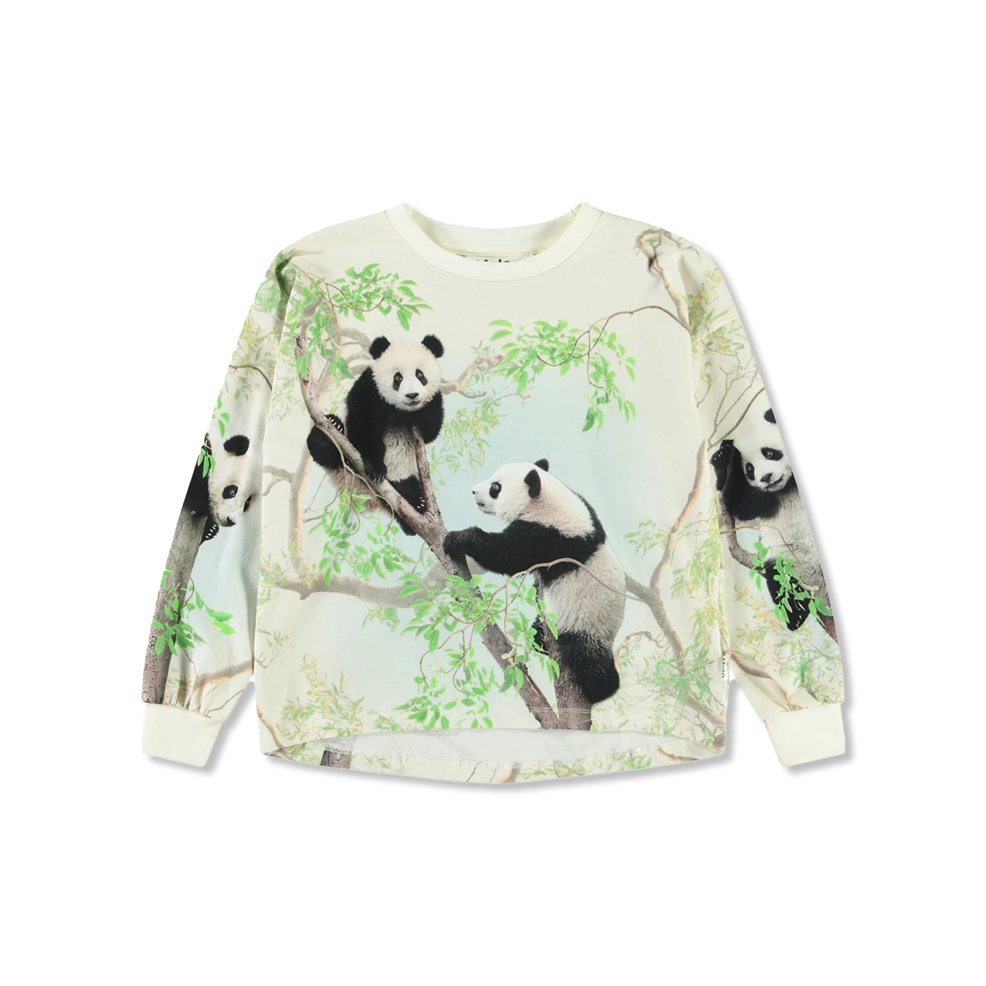 Reniza bluse