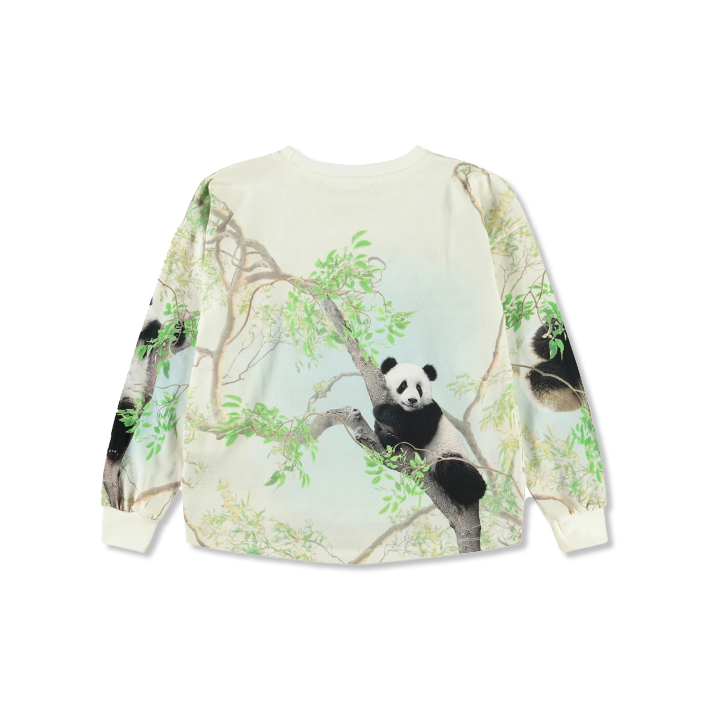 Reniza bluse
