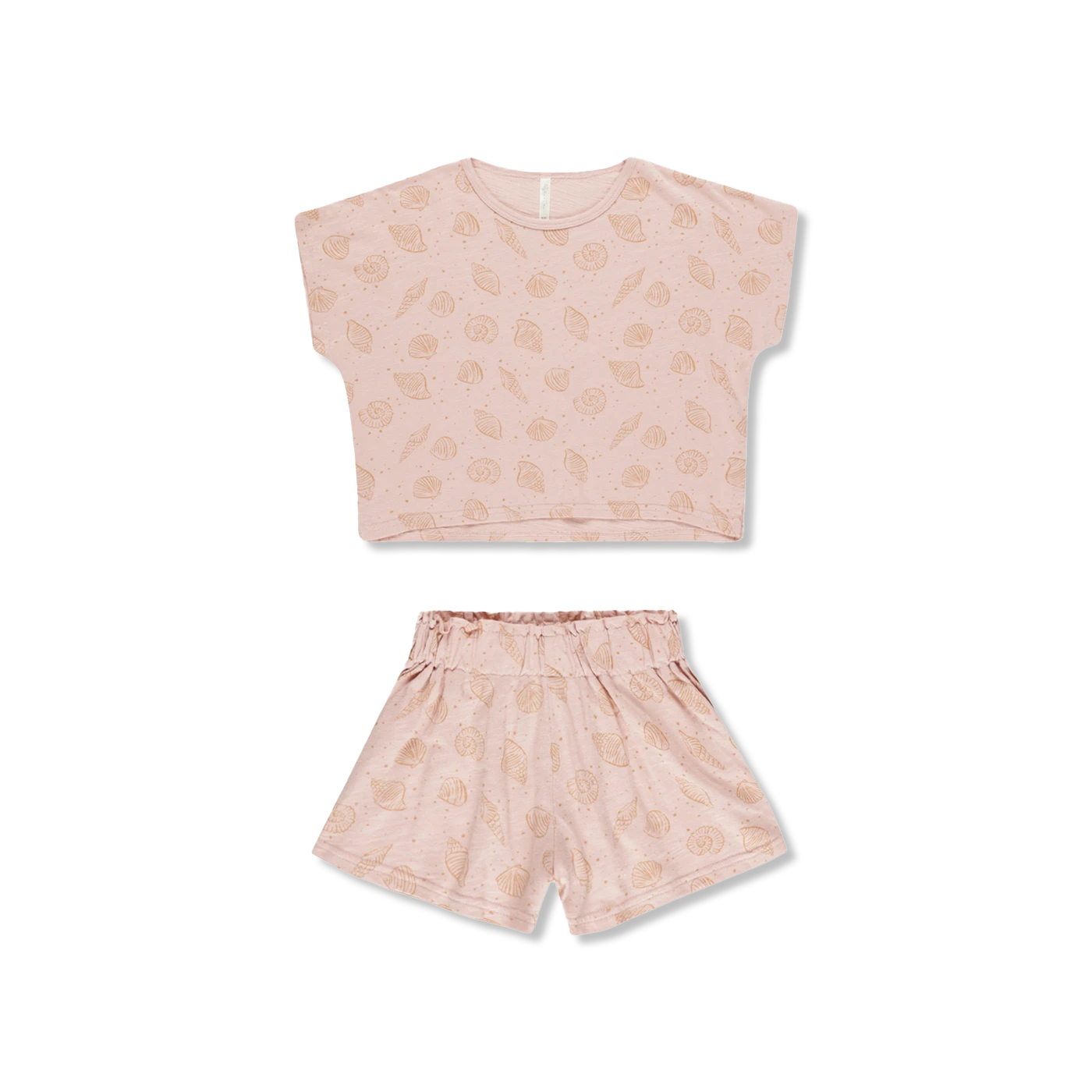 SEASHELLS shorts