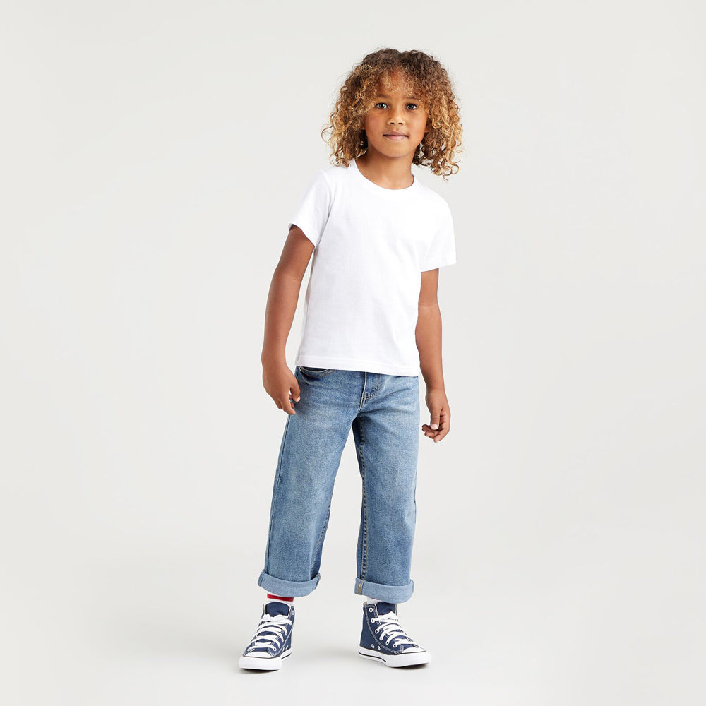 LVB STAT LOOSE jeans