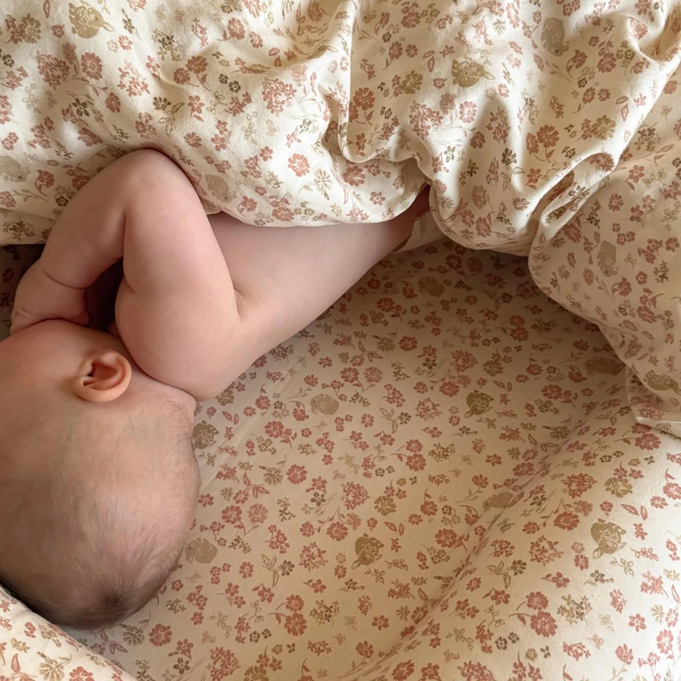 Augusta Babynest