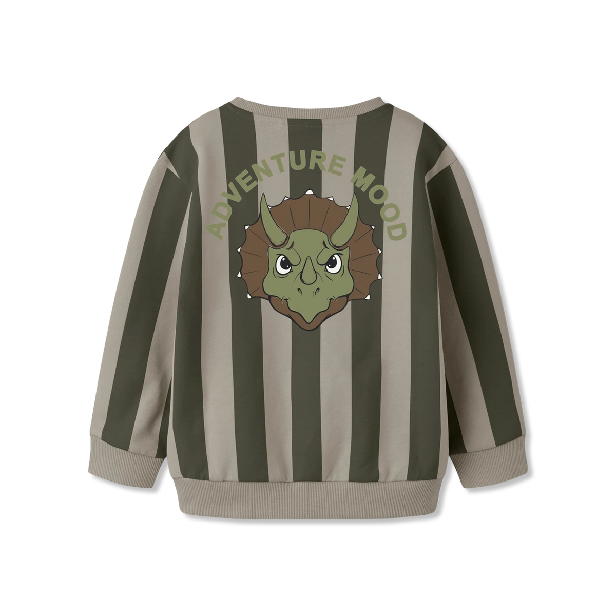 Nmmrake Sweatshirt