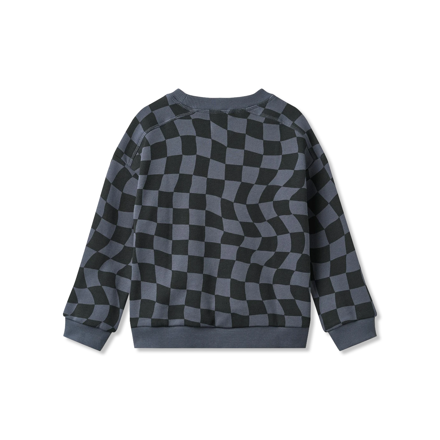 Sandro Sweatshirt