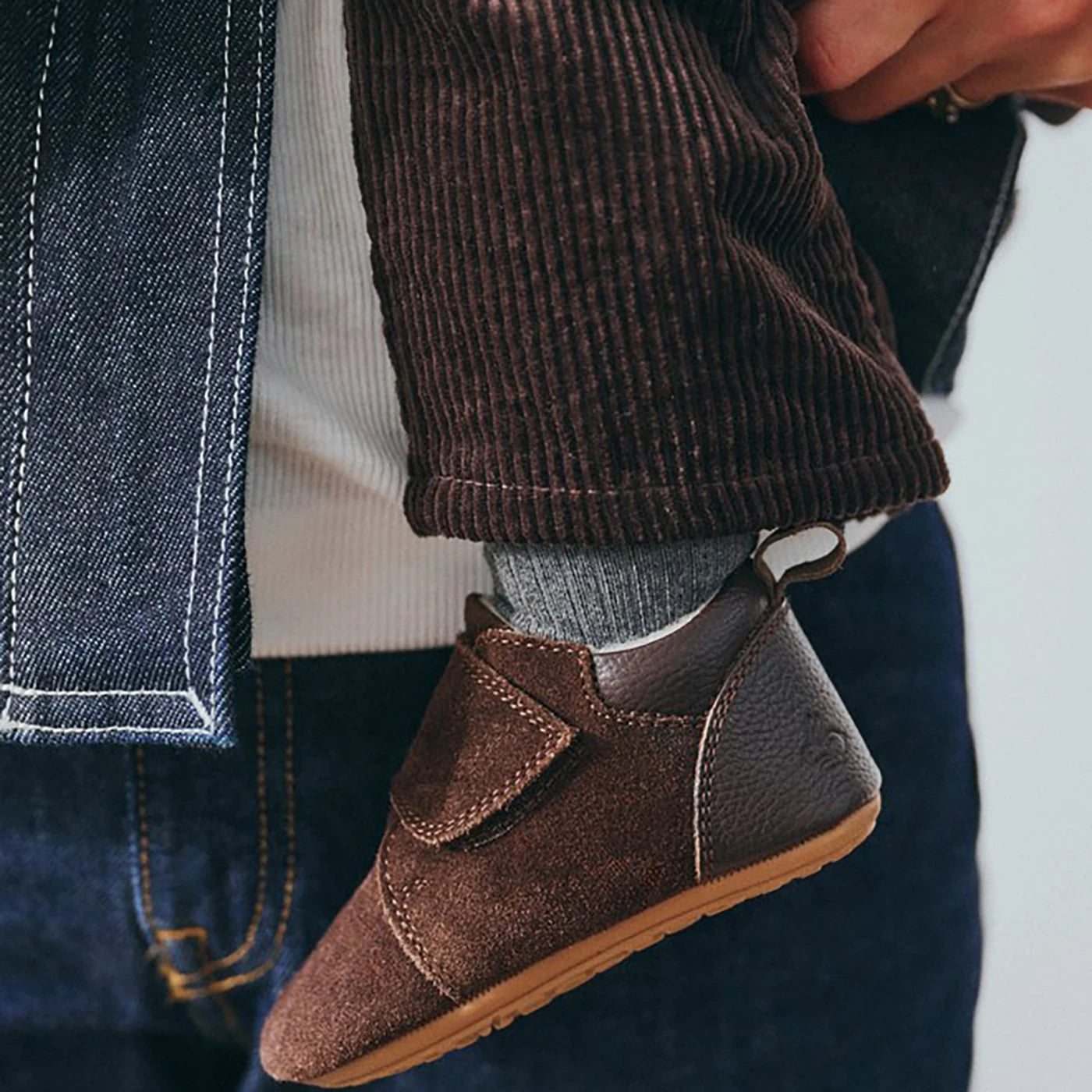 Teddy dark brown Begyndersko