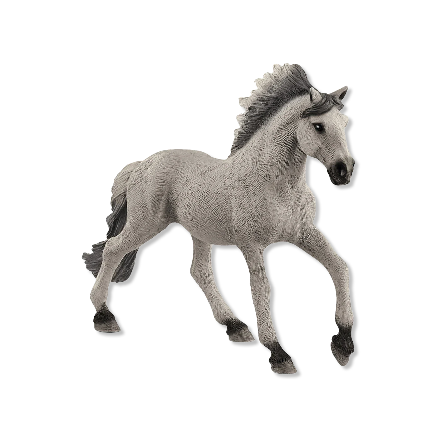 Sorraia Mustang Stallion dyr & figurer
