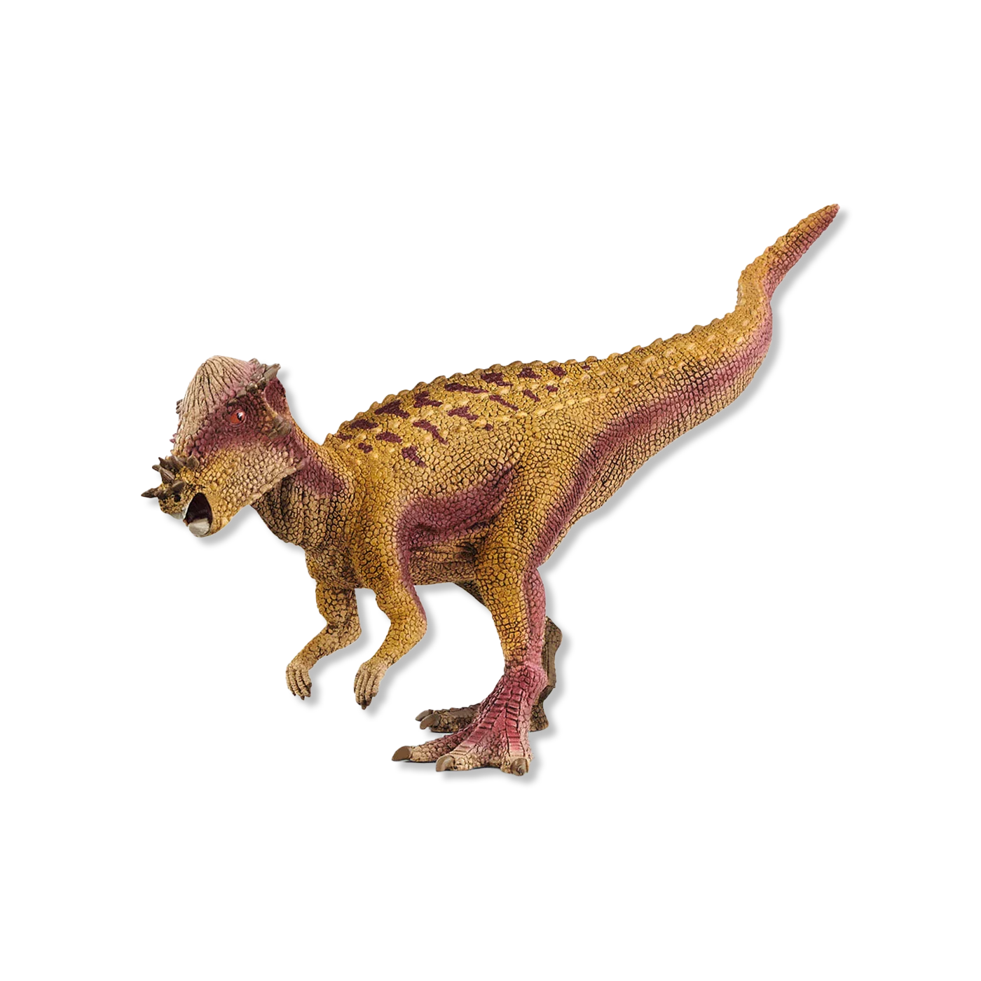 Pachycephalosaurus dyr & figurer