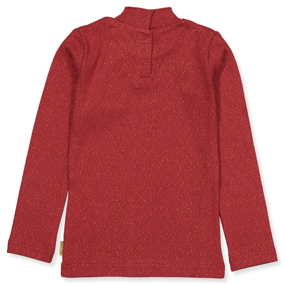 Aleta t-shirt lange mouw