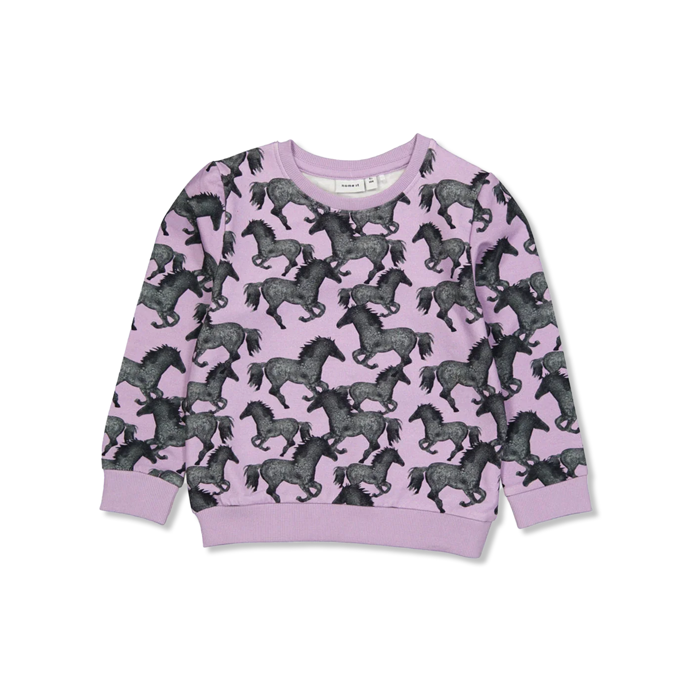 NMFSACHA sweatshirts