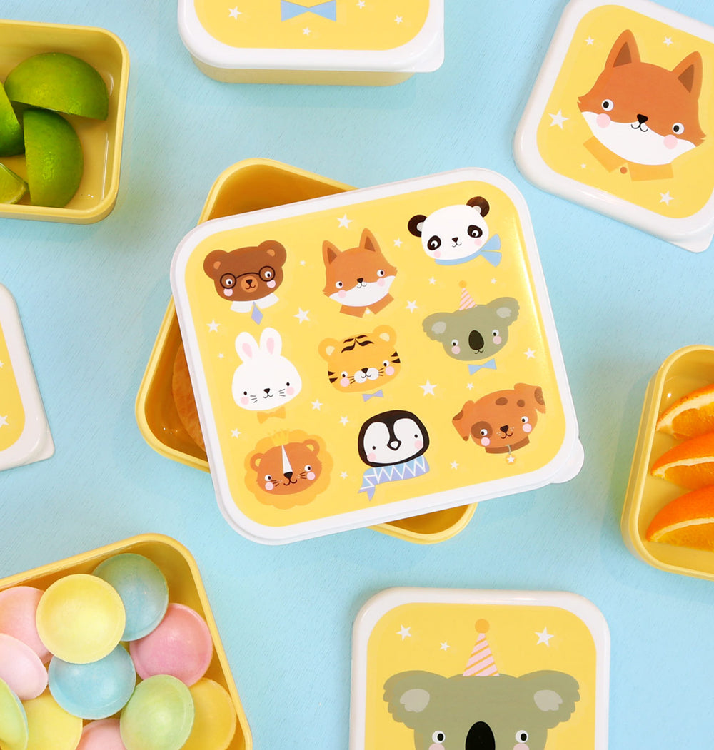 Lunch box set madkasser