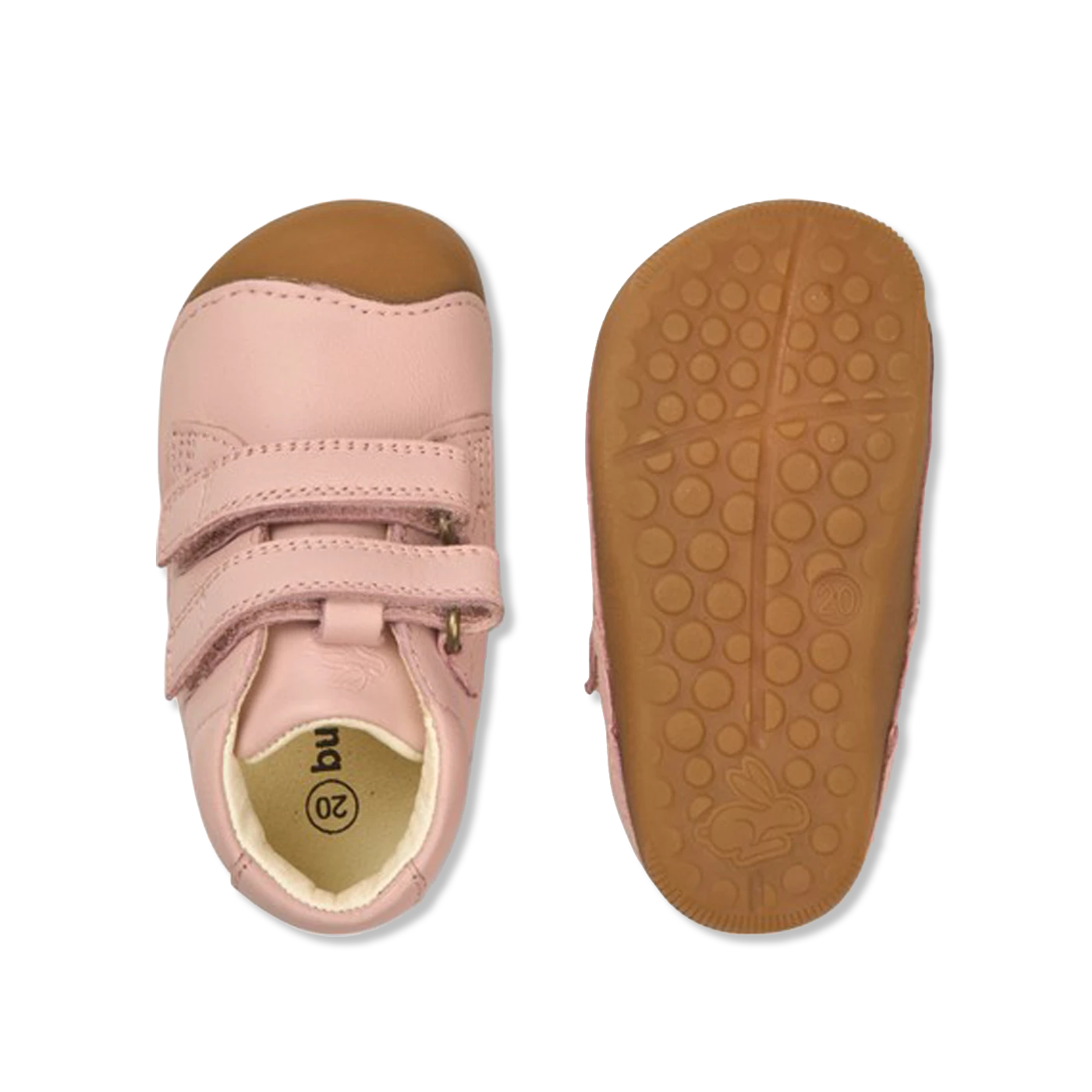 Petit old rose Begyndersko