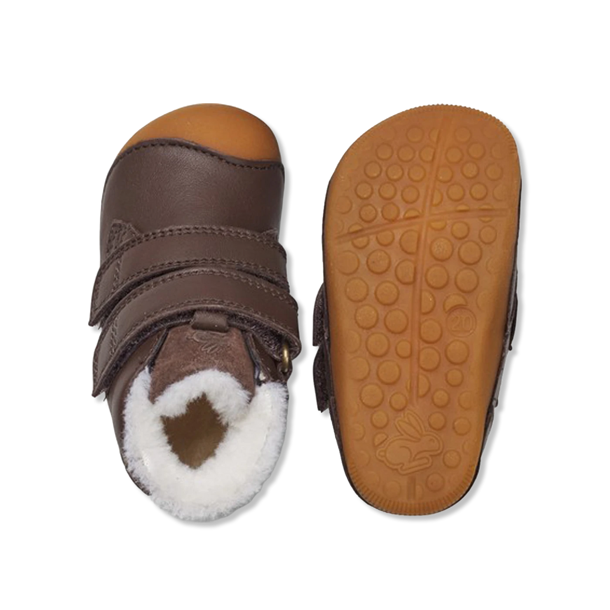 Petit winter dark brown Begyndersko
