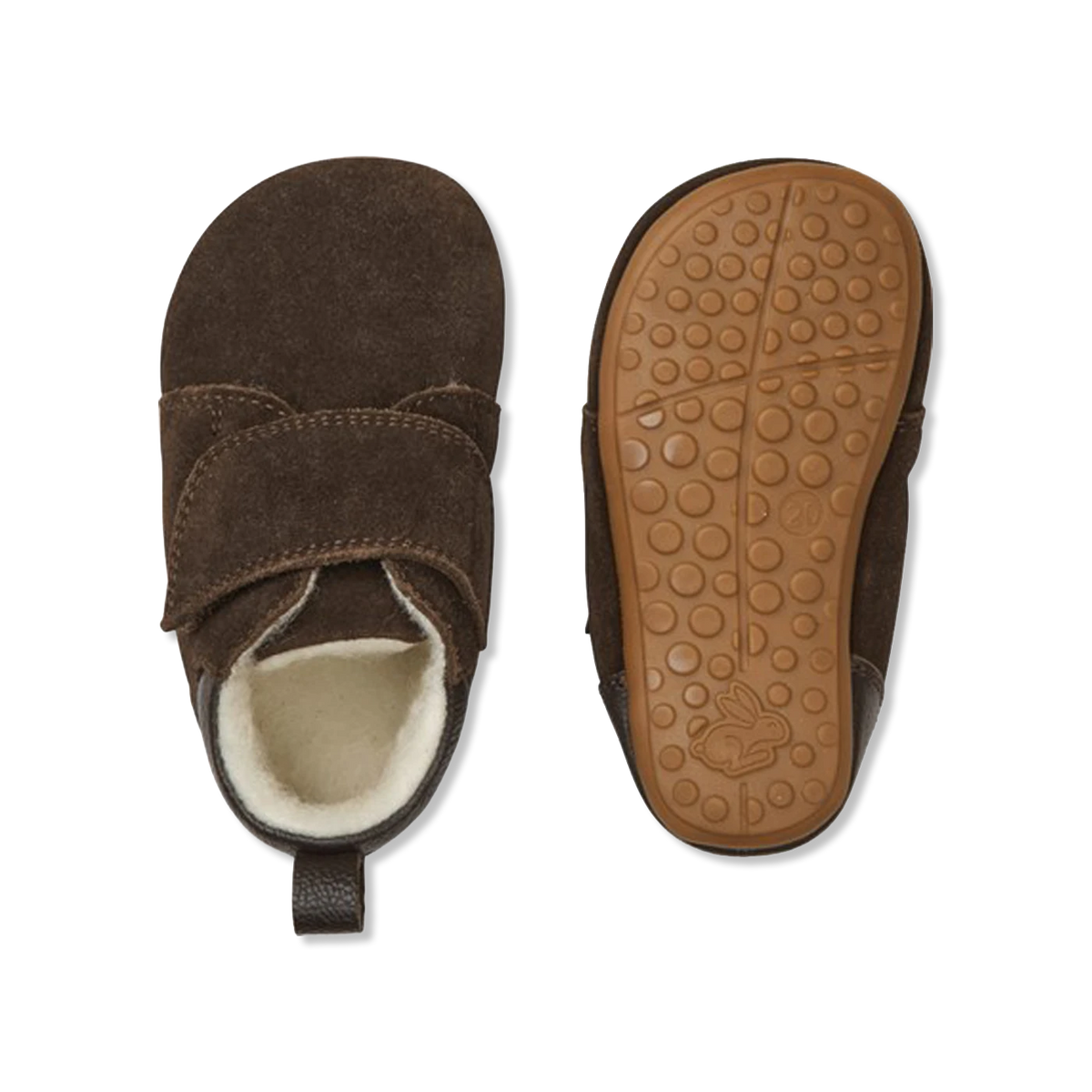 Teddy dark brown Begyndersko