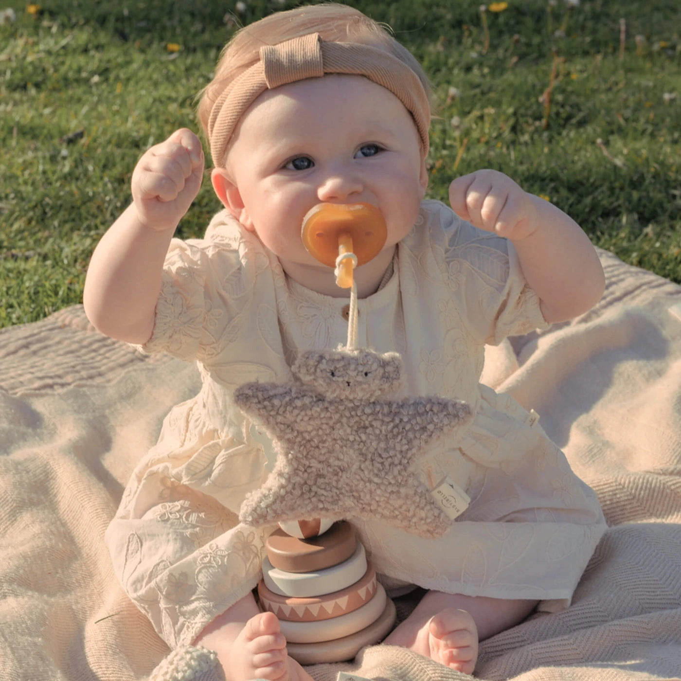 Koko the koala Suttesnor