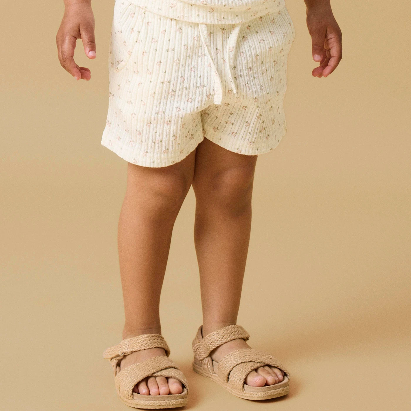 Nbfhulla Shorts