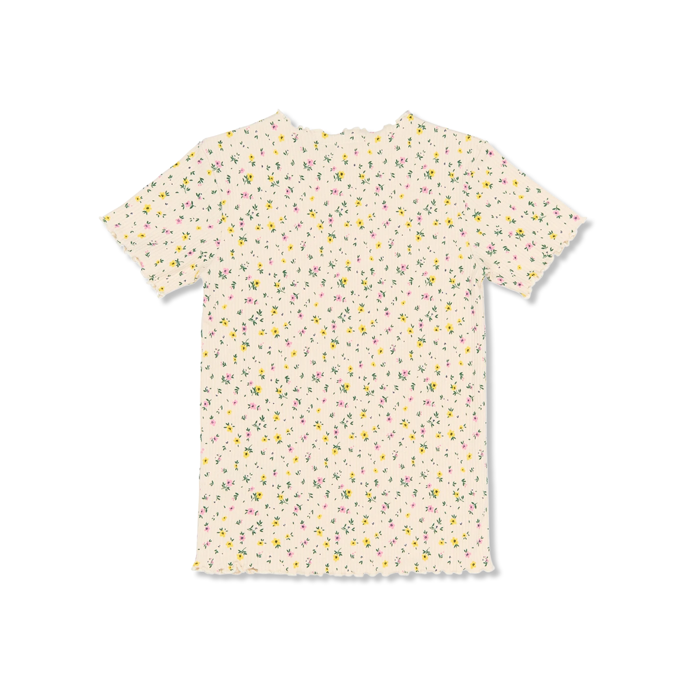 TNSummer t-shirt