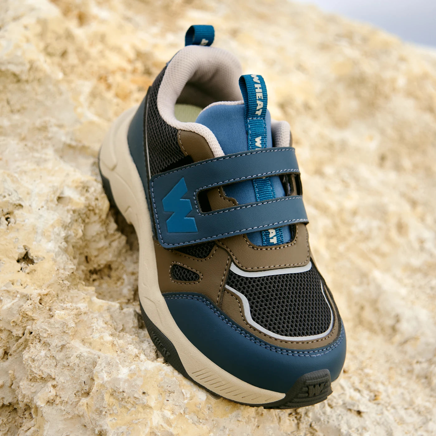 Cove Sneakers