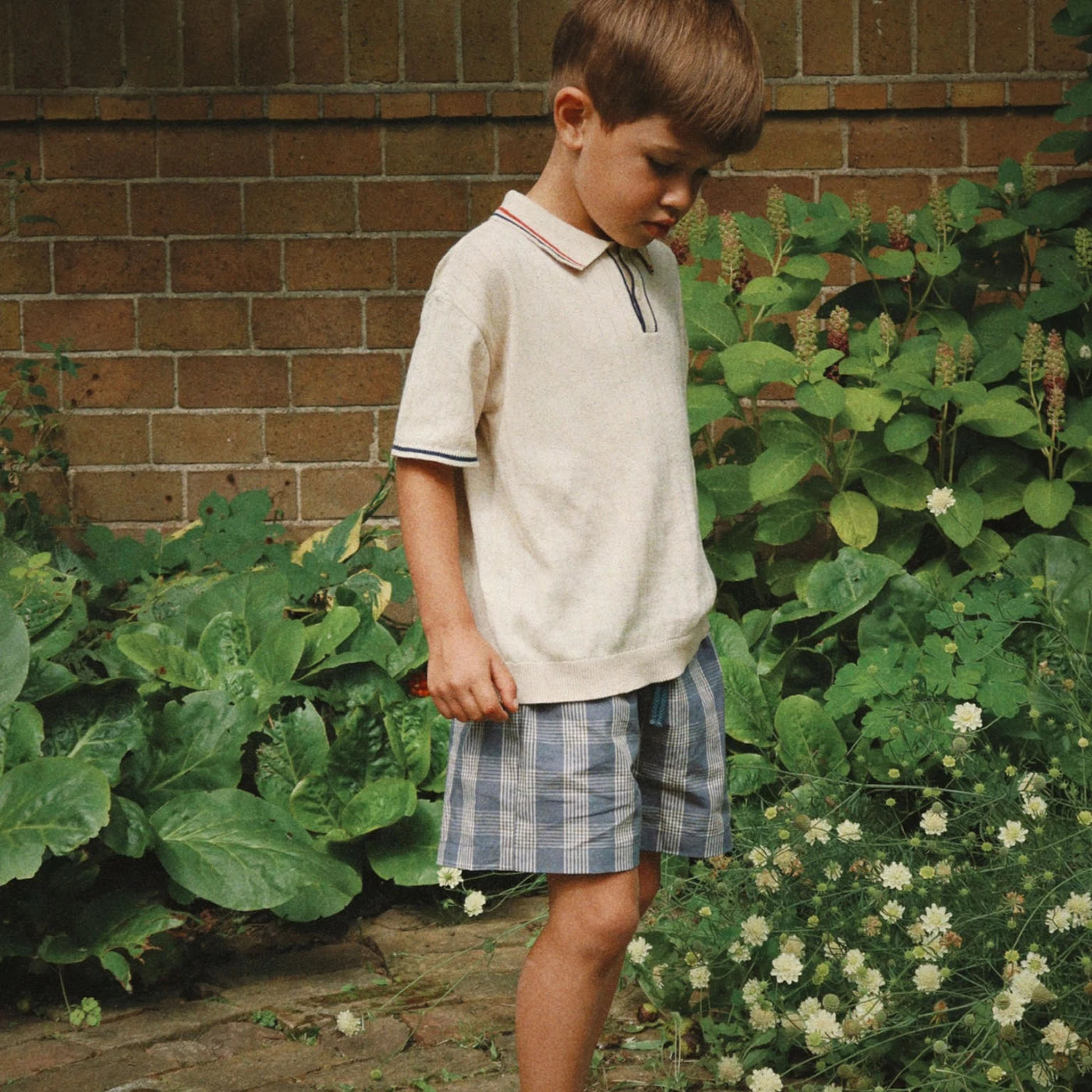 Verne Shorts