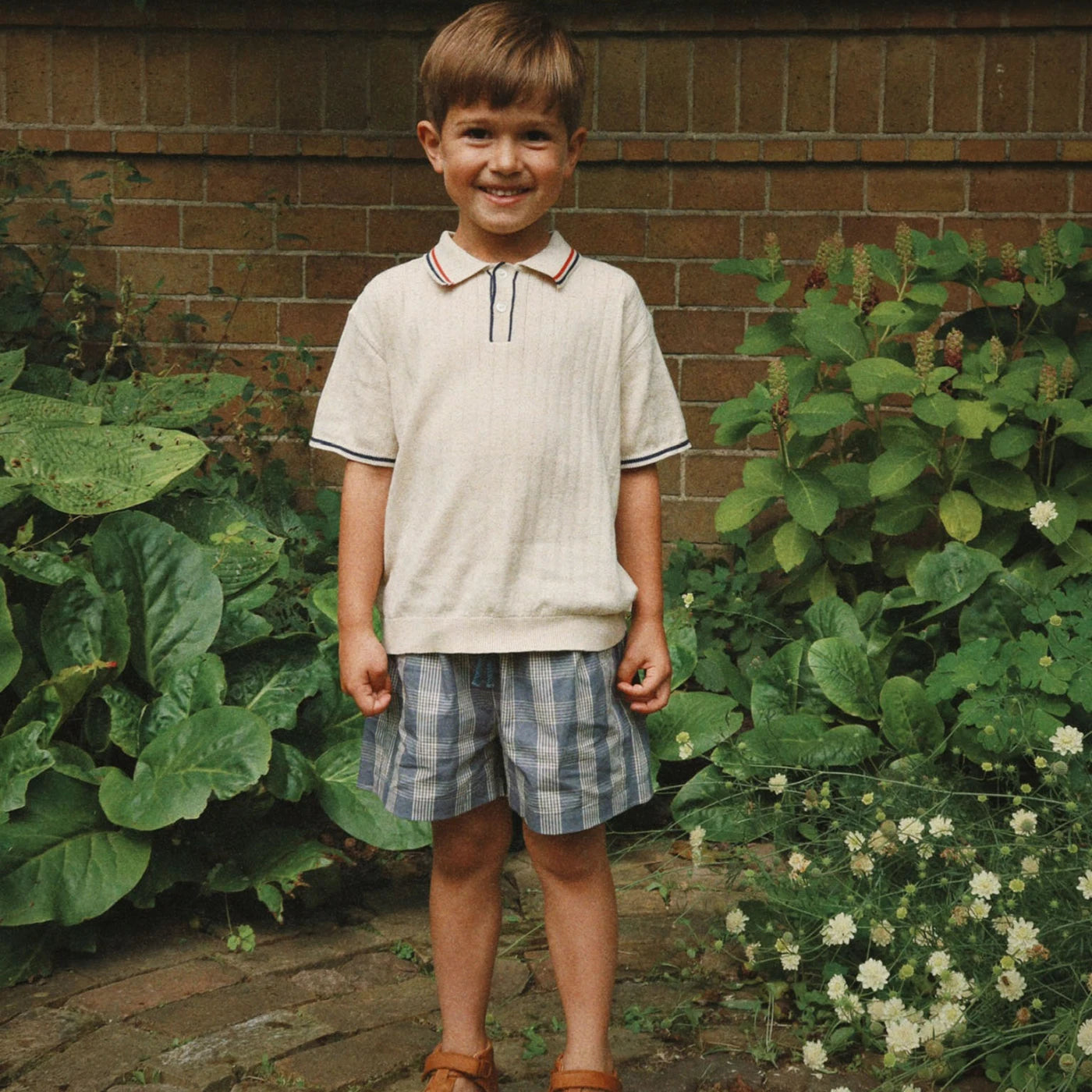 Verne Shorts